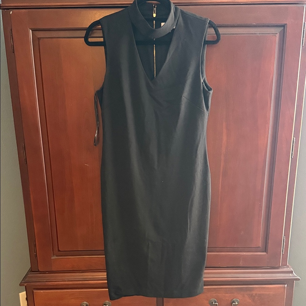 Calvin Klein Black Hickneck, gold zipper Dress